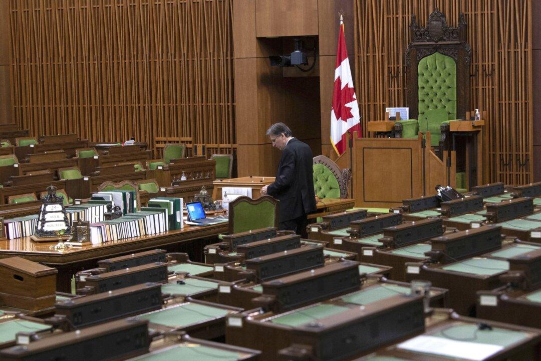 Prostitution Legalization Possibility Worries Anti-Human Trafficking Advocates