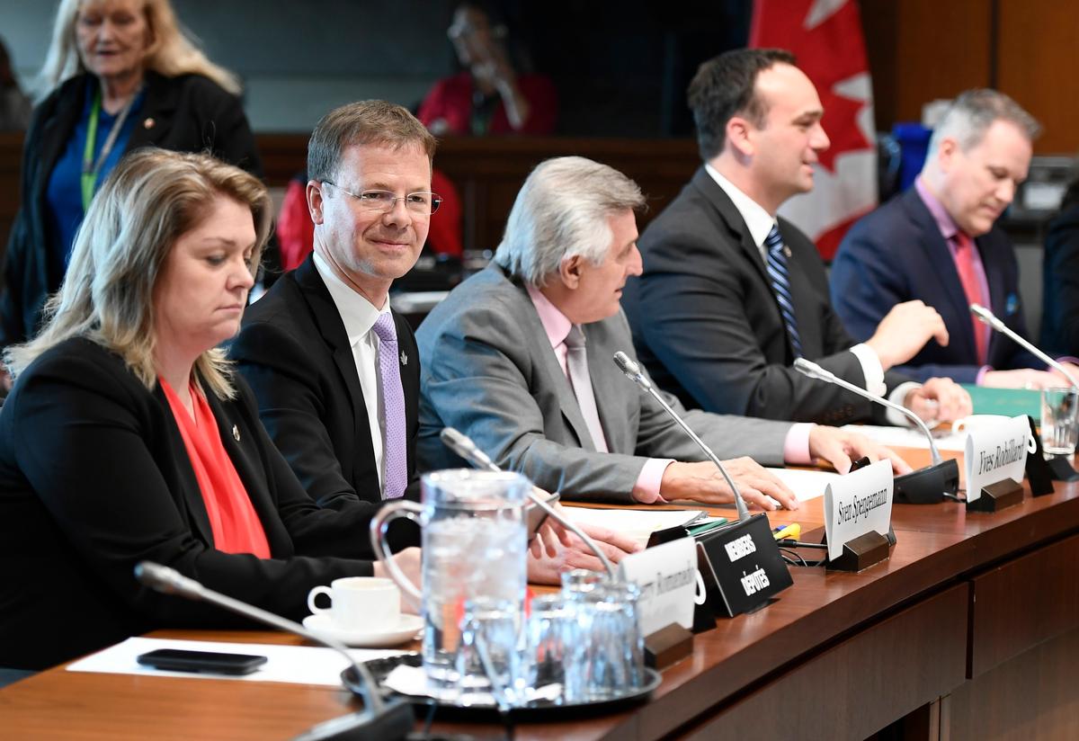 Second Liberal MP Publicly Questions COVID Policies