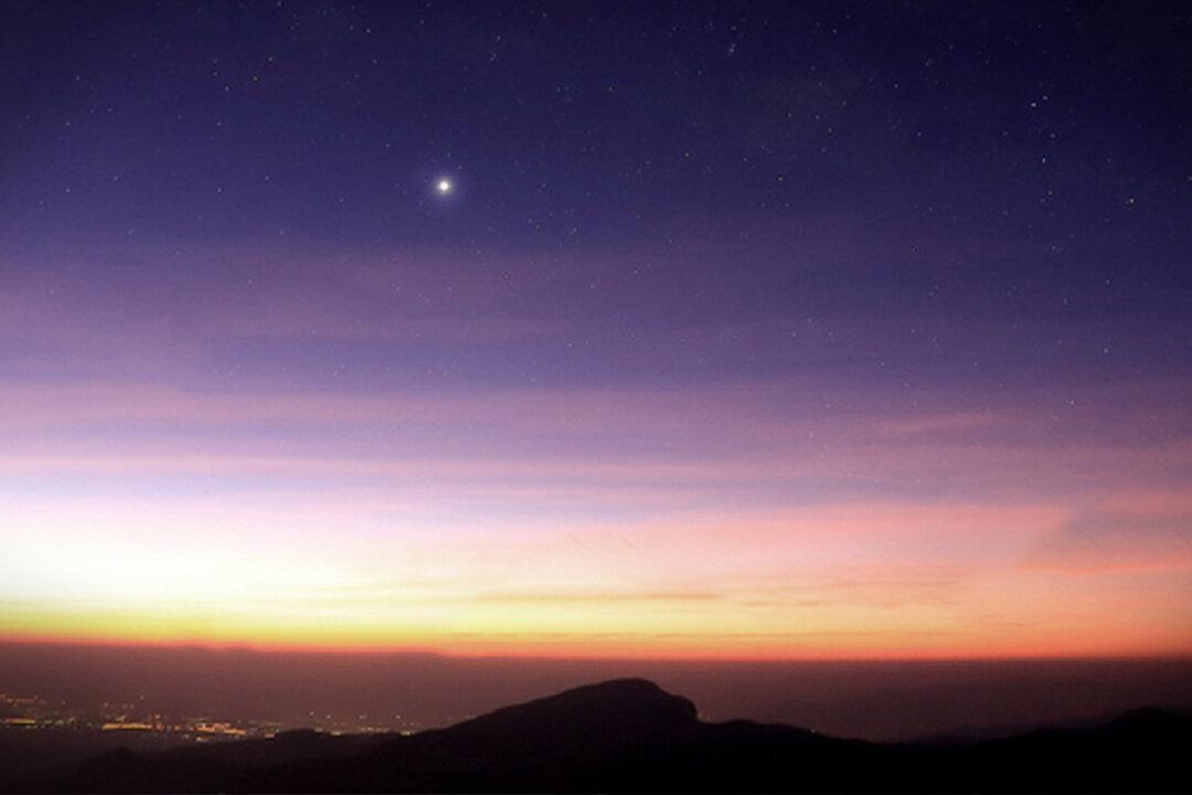 ‘Morning Star’ Venus to Shine Its Brightest From Wednesday Morn—With Mars, Mercury, Moon, and More in February