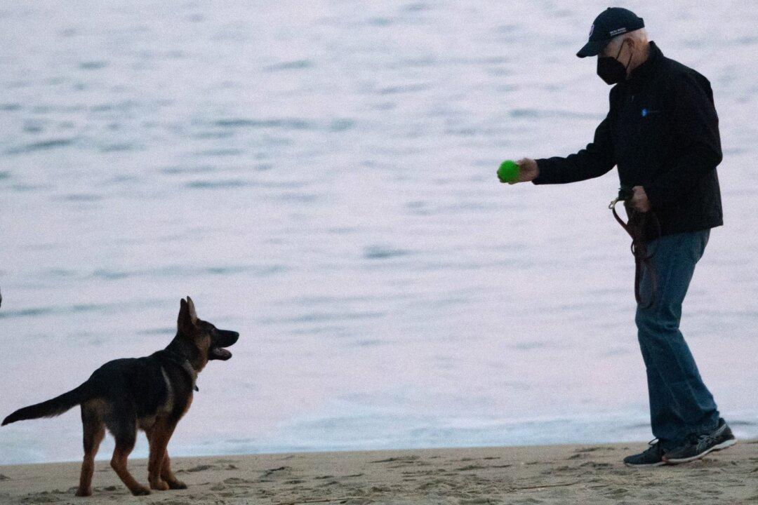 Fence Surrounding Biden’s Delaware Beach House Costs About $500,000, Records Show