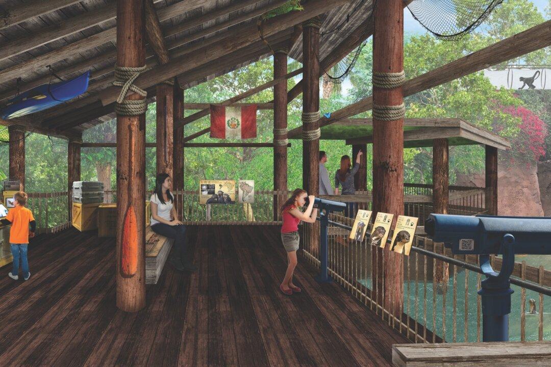 Santa Ana Zoo Rolls Out First Phase of $60M Expansion