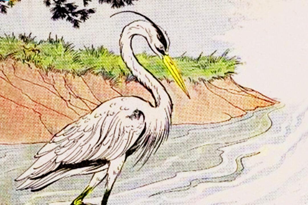 Aesop’s Fables: The Heron