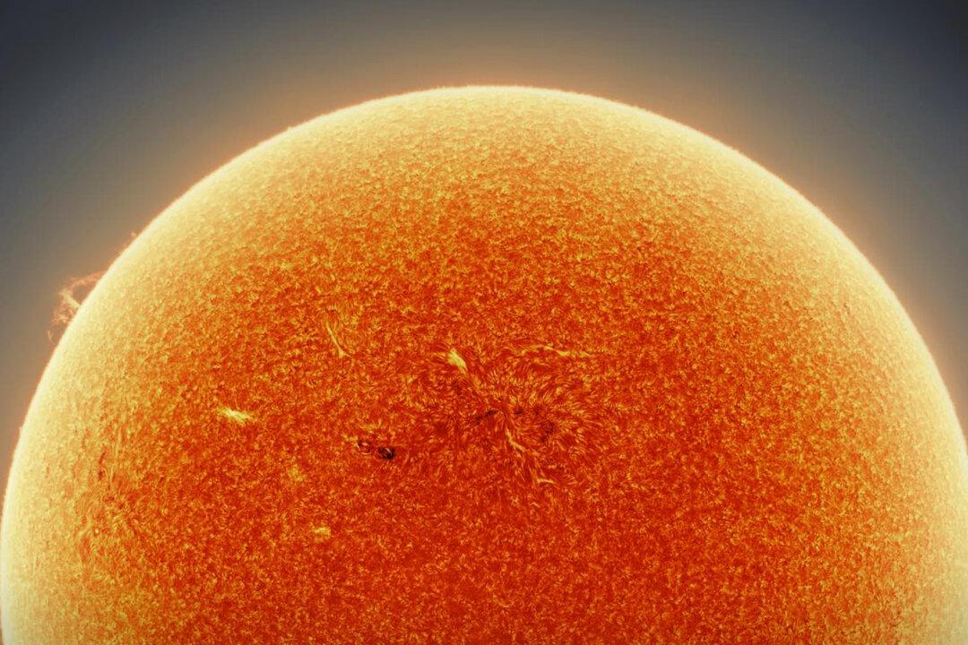 Astrophotographer Snaps Hi-Resolution Solar ‘Mosaic’ Using Over 300,000 Shots From Telescope in His Backyard
