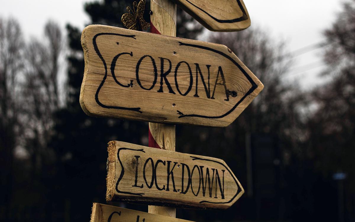 No Amnesty for Lockdowners