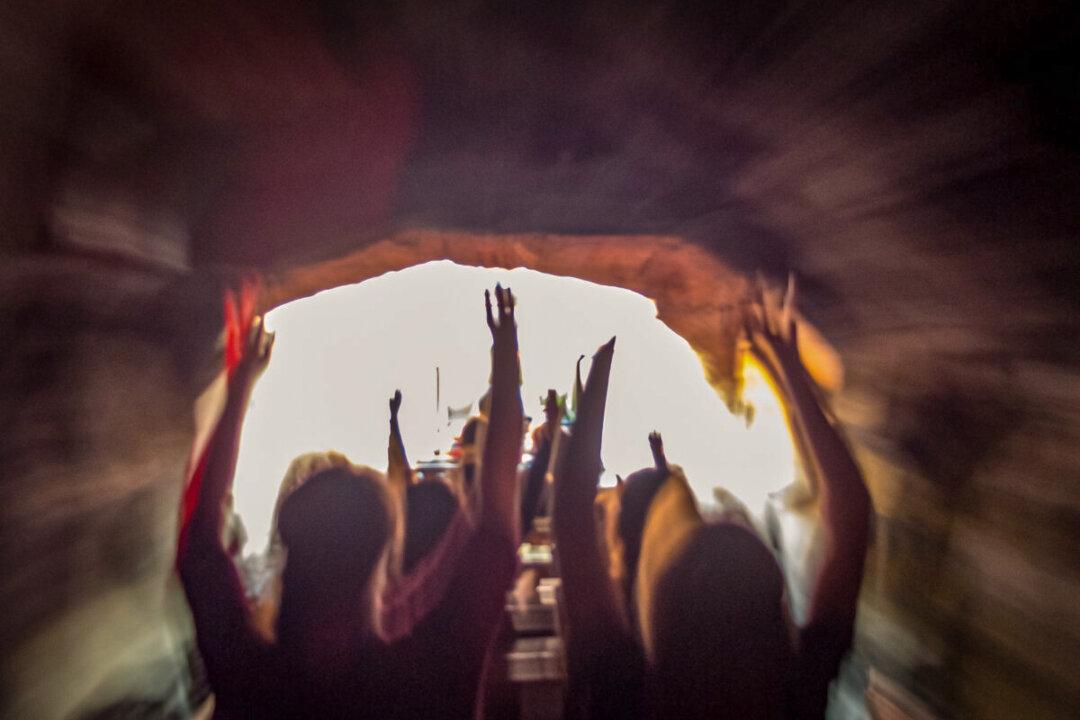 Rams Players Celebrate Super Bowl Victory at Disneyland