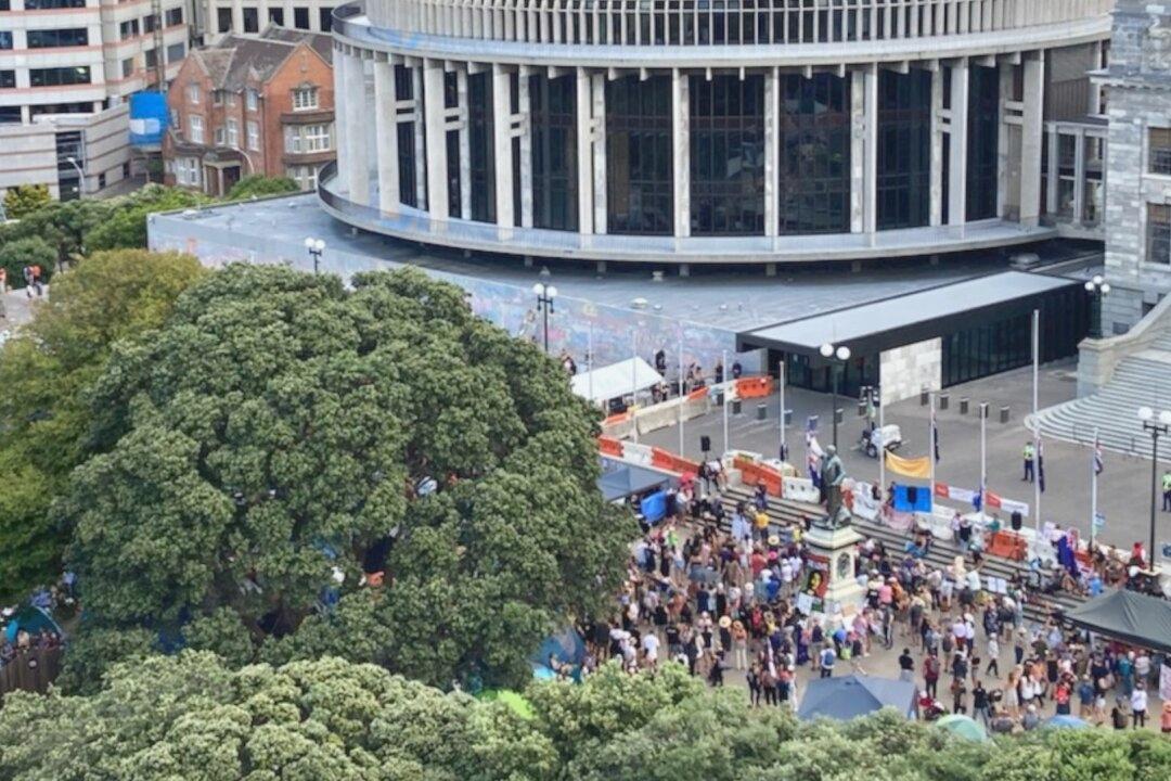 NZ MPs Resort to Private Security as They Face Increasing Threats