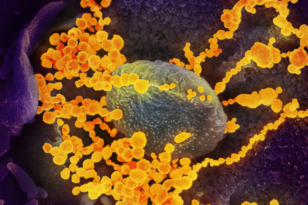 XEC COVID-19 Variant Now Circulating in the US: CDC Data