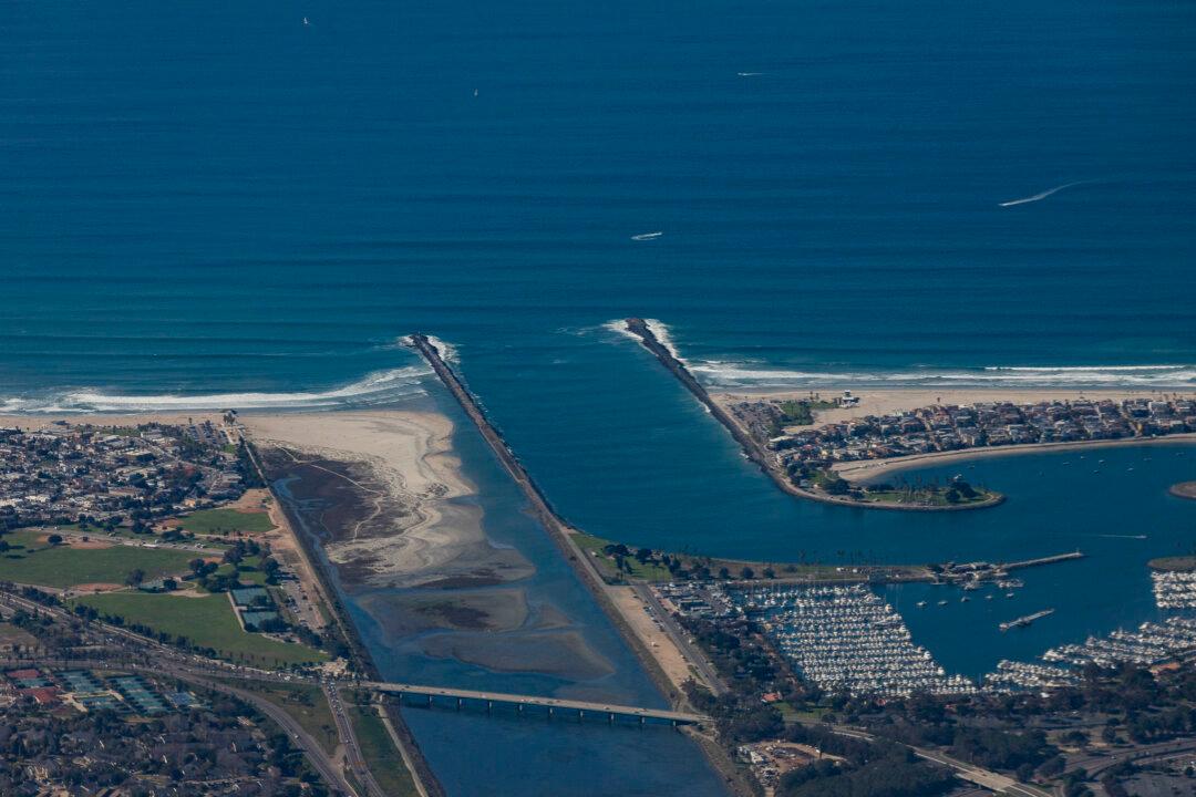Underwater ‘Mini Shark’ Bugs Taking Bites of Californian Beachgoers