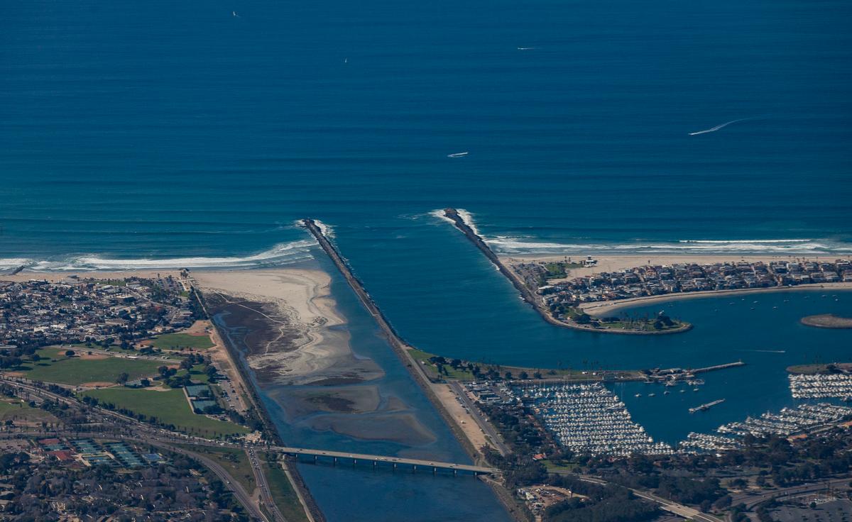 Underwater ‘Mini Shark’ Bugs Taking Bites of Californian Beachgoers