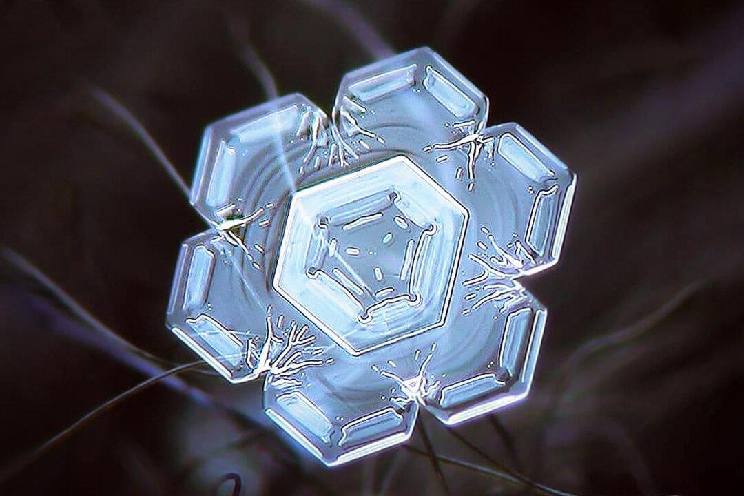 Macrophotographer Snaps Snowflakes Up Close—And the Results Over Past 14 Winters Are Magical