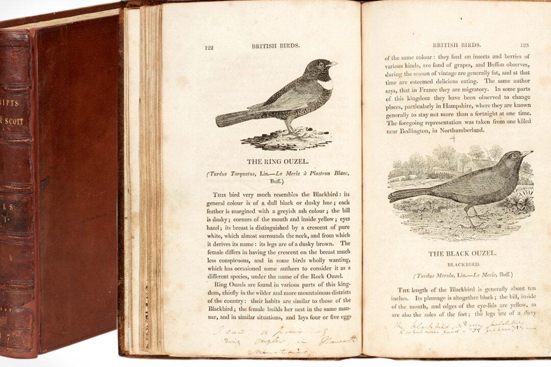 Unique Literary Treasure Trove to Be Shared With the Public for the First Time in Almost a Century