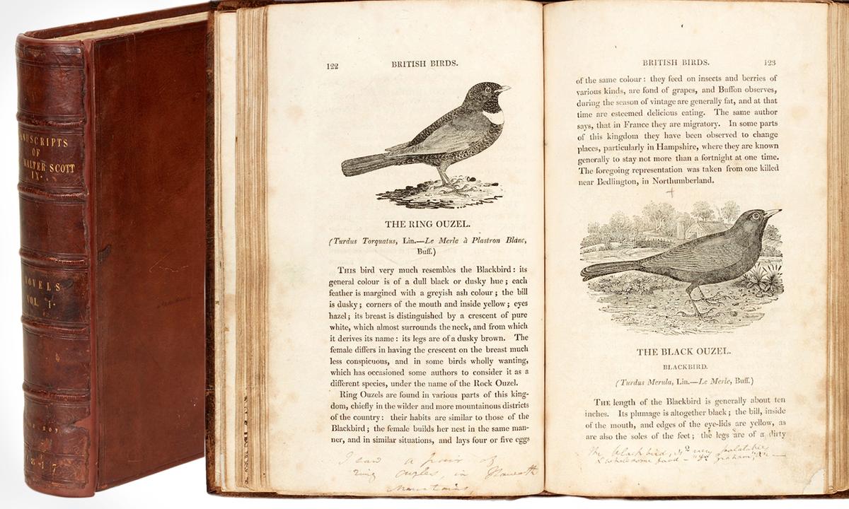 Unique Literary Treasure Trove to Be Shared With the Public for the First Time in Almost a Century