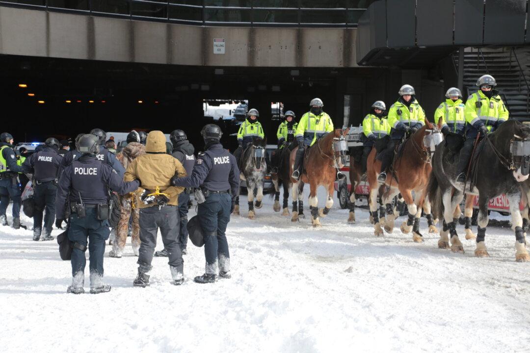 Investigation Into Ottawa Horse Trampling Incident Closed as Injury Deemed Not Serious
