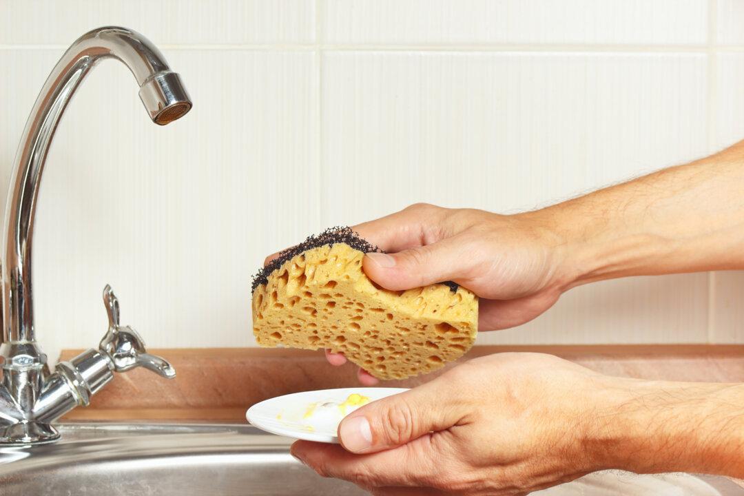 Why Your Kitchen Sponge Is so Gross
