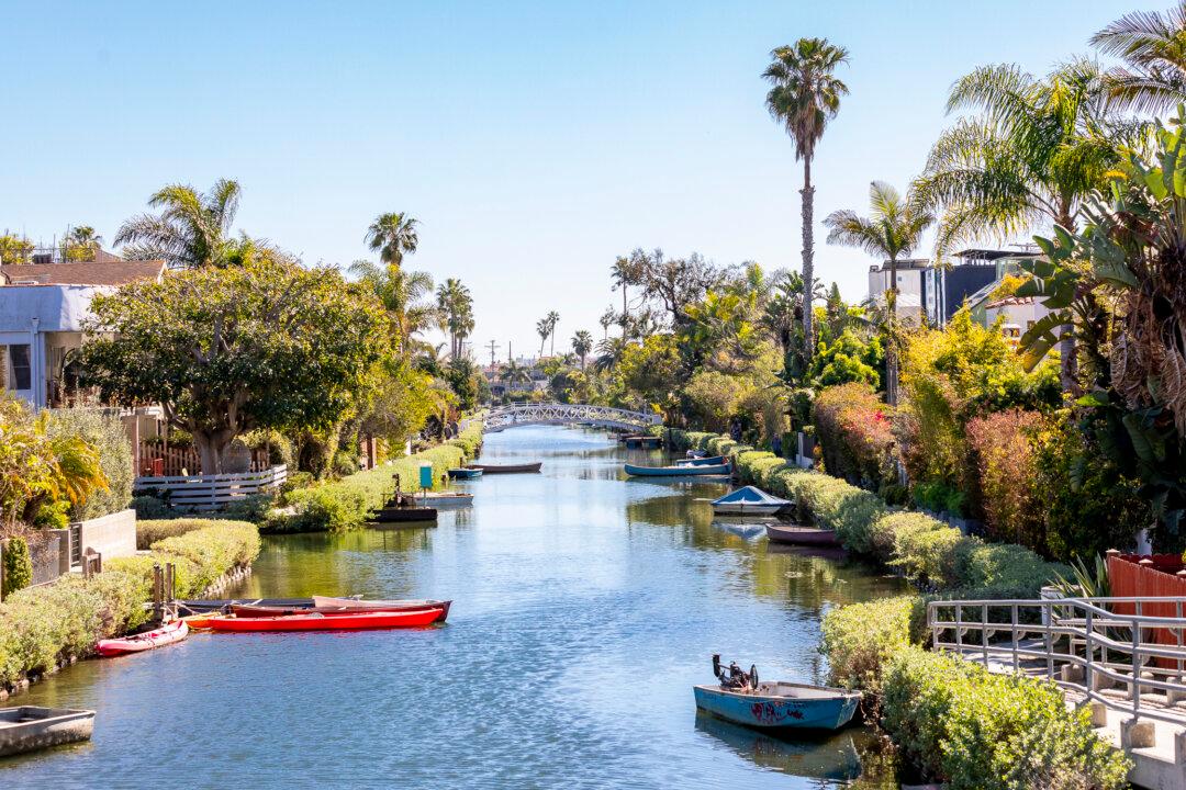 Suspect Arrested in Attacks on Women Near Venice Canals in Los Angeles