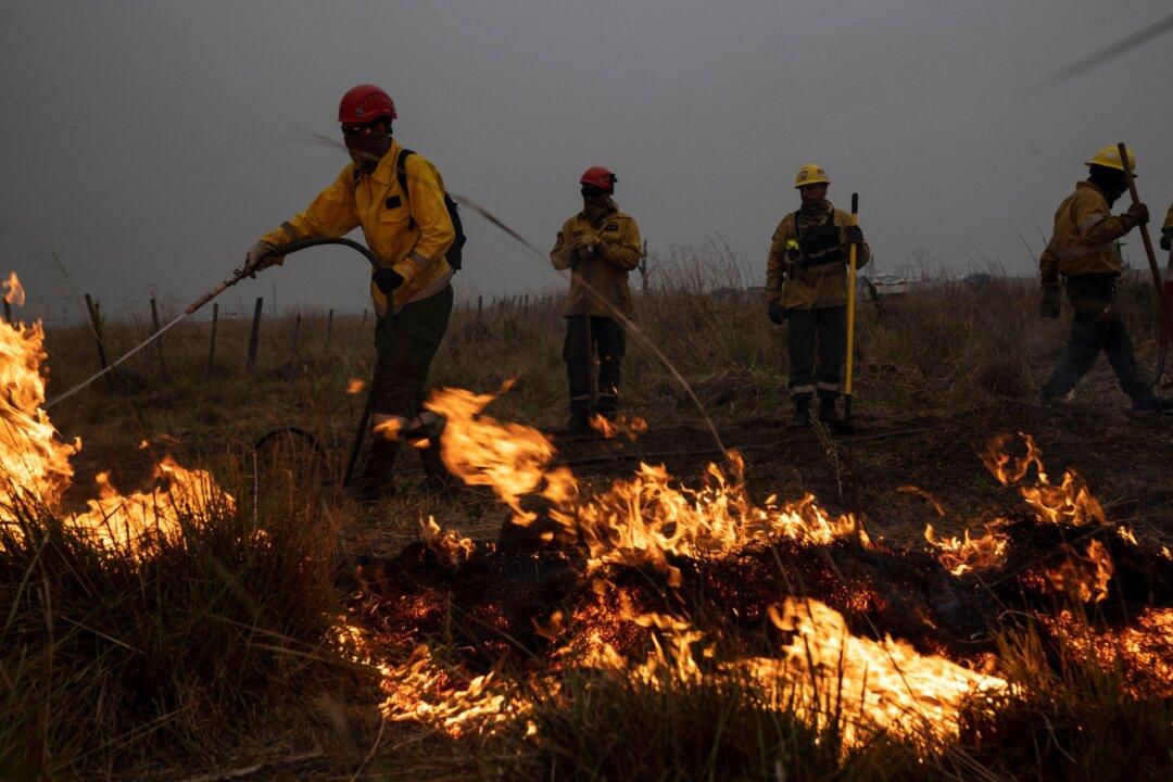 Light Rain Brings Hope for Fire-Ravaged Argentina Province