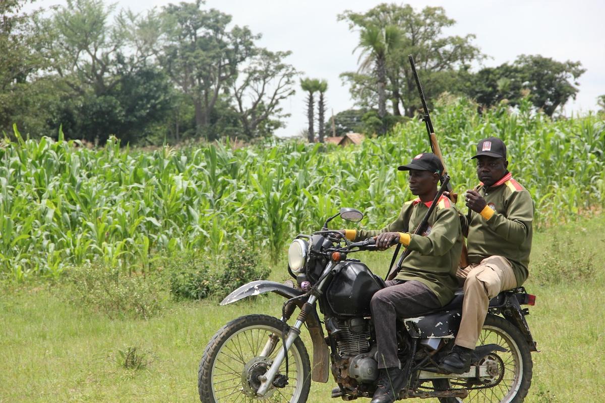 Nigeria’s Civilian Guards Run Toward Danger When Terrorists Attack