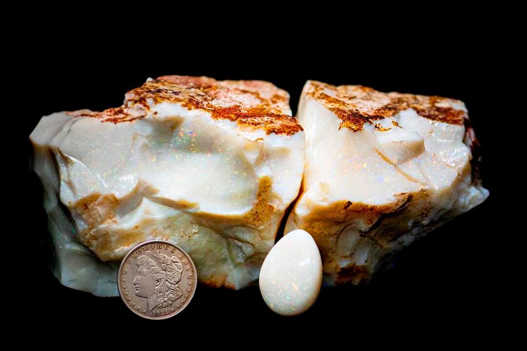 Alaskan Miner Sells Giant 12,000 Carat Opal Bigger Than a Brick for Nearly $144,000 at Auction