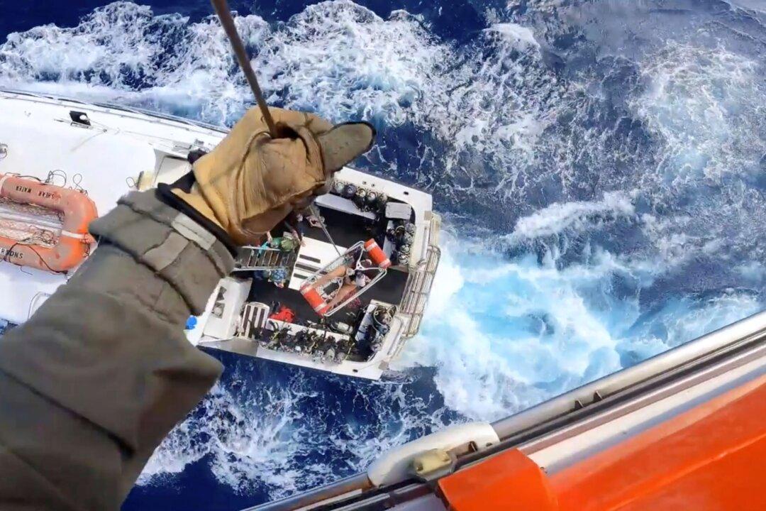 Coast Guard Rescues Fisherman Bitten by Shark Near Bimini