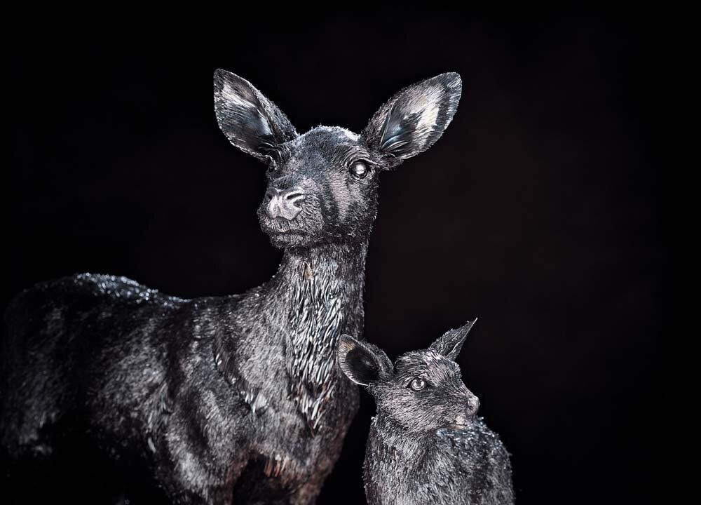 Art Worth Visiting: 3 US Spring Exhibitions