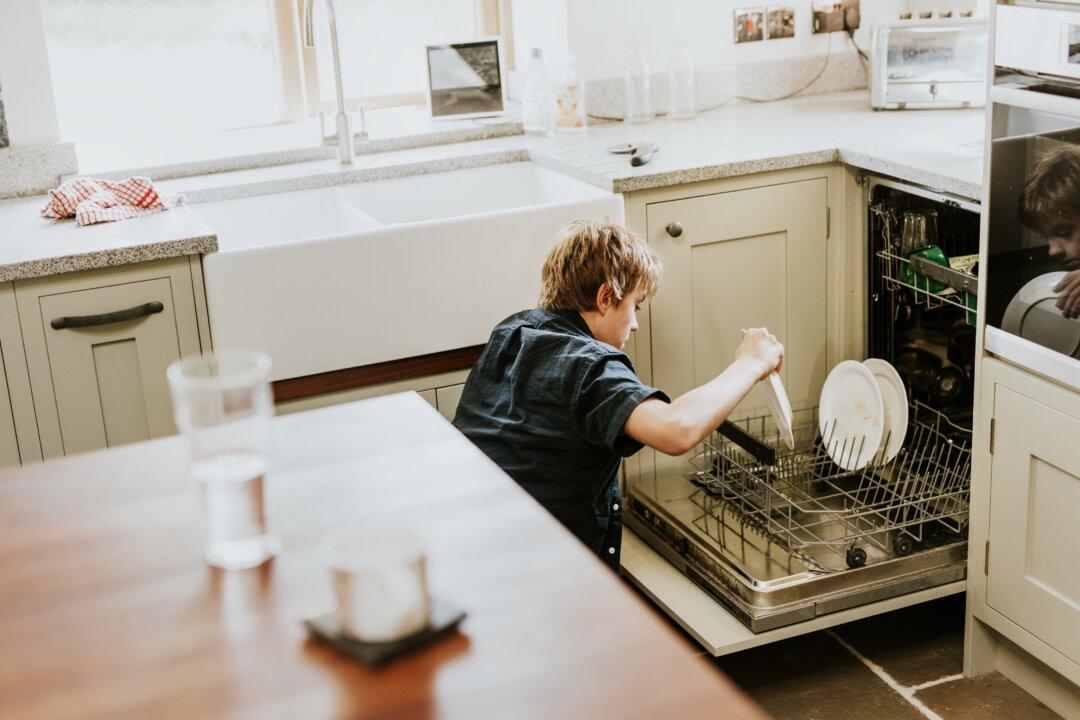 How to Make Your Old Dishwasher Perform Like New
