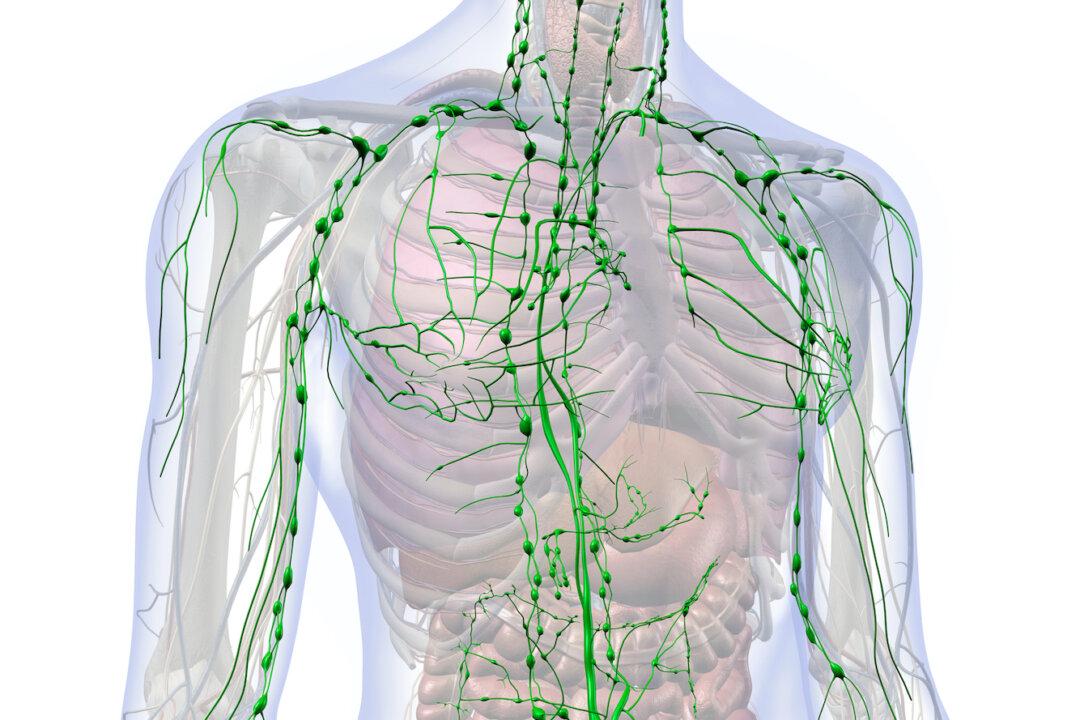 Critically Important and All but Ignored: Lymphatic Flow