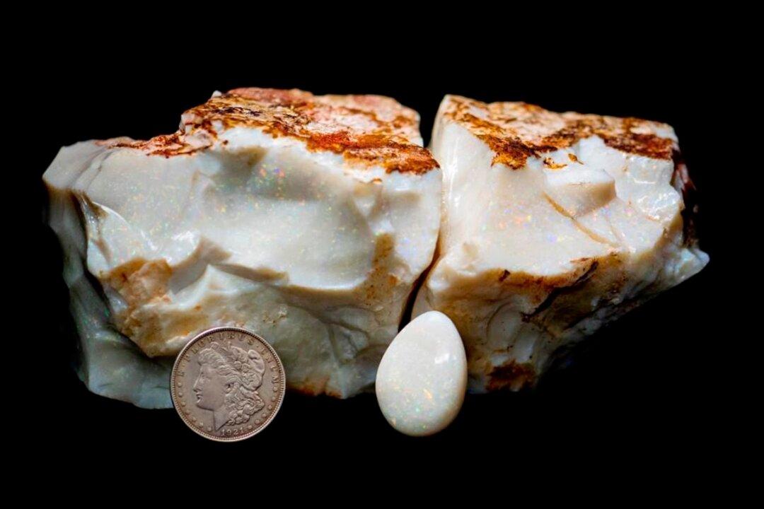 Huge Opal Sells for Nearly $144,000 at Alaska Auction