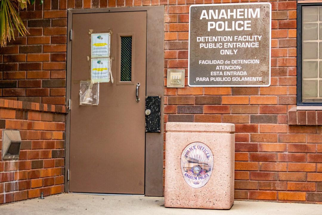 Man Who Kicked, Punched Dog in Anaheim Turns Himself In: Police