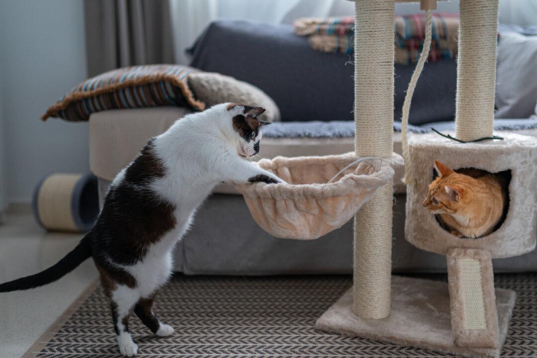 Follow the Data, They Said, and Then Hid It