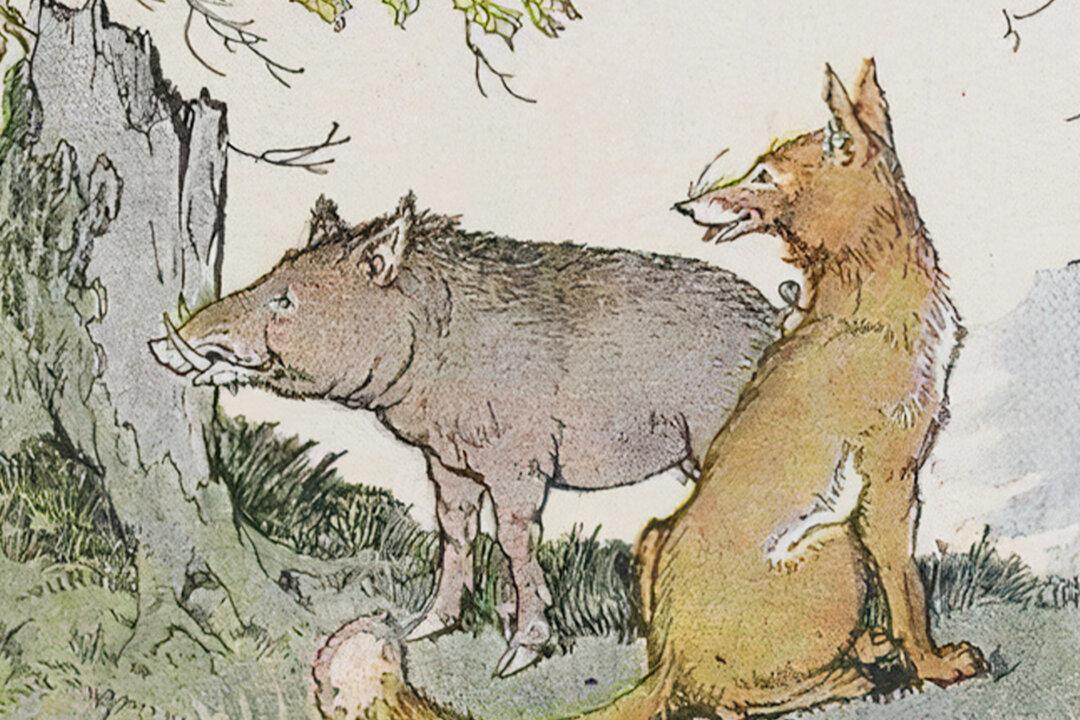 Aesop’s Fables: The Wild Boar and the Fox
