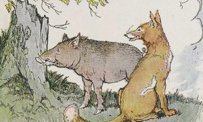 Aesop’s Fables: The Wild Boar and the Fox
