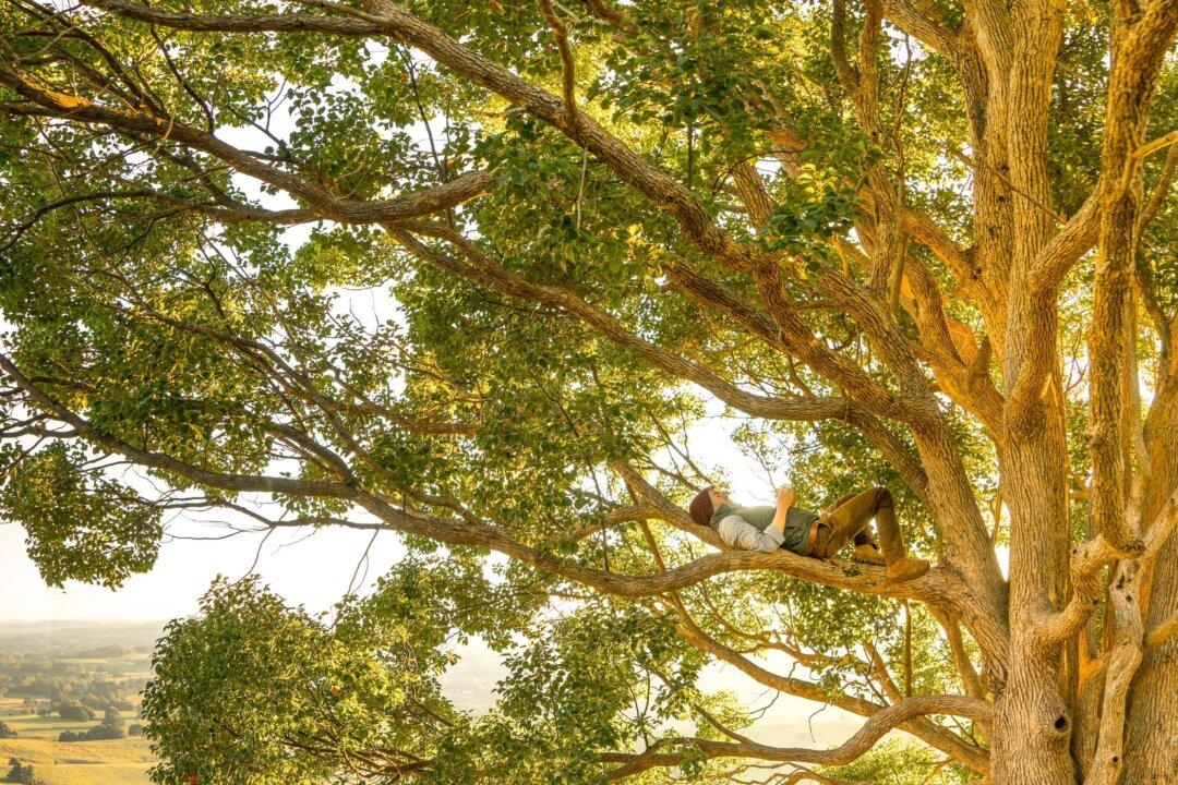 The Contending Forces Within