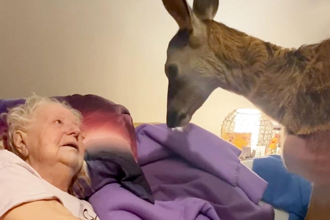 Magical Moment Woman Surprises Bambi-Obsessed Dying Mom With Bedside Visit From a Fawn