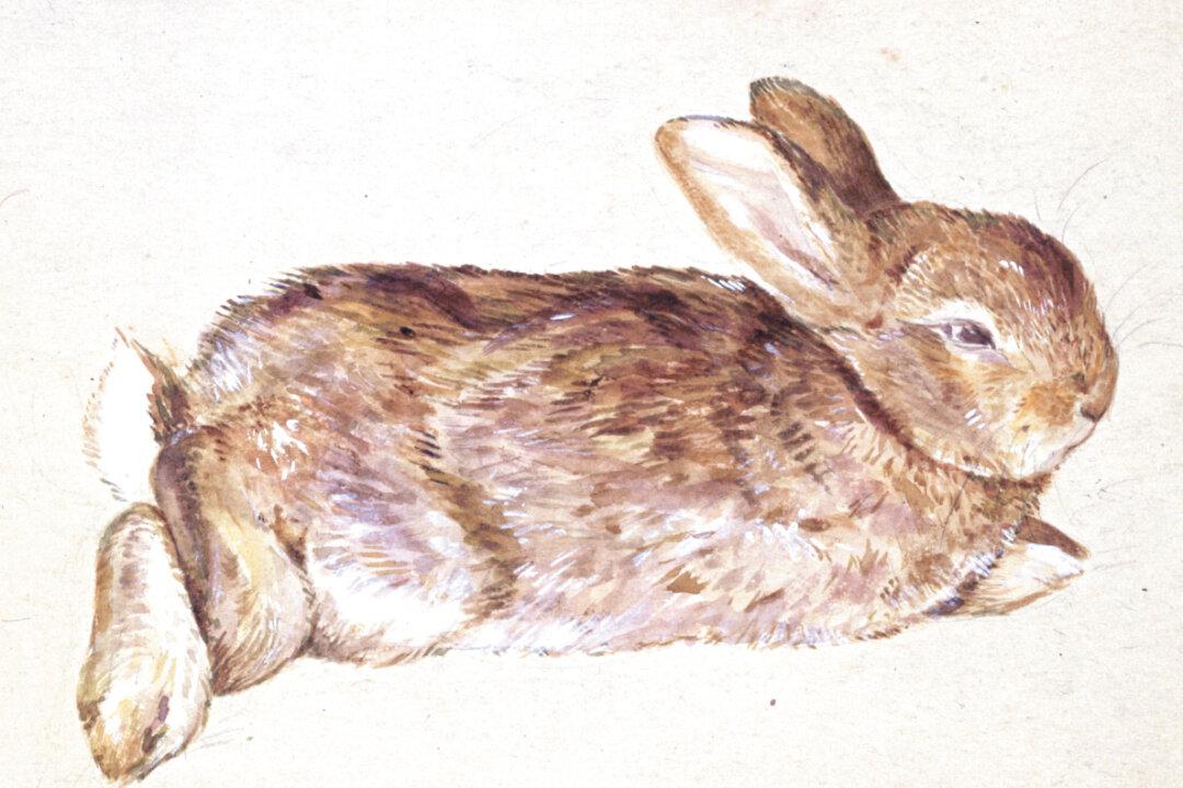 More Than Bunnies: Beatrix Potter’s Surprising Legacy
