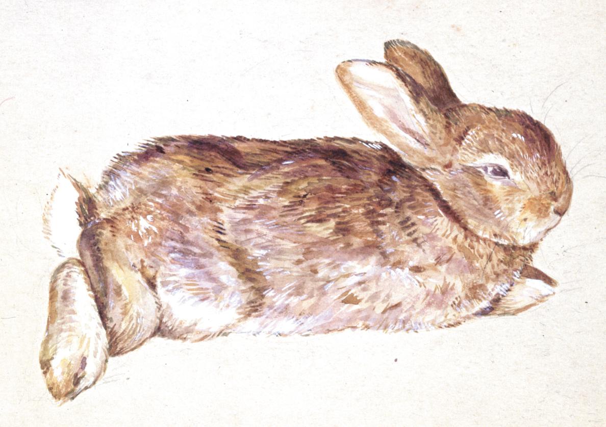 More Than Bunnies: Beatrix Potter’s Surprising Legacy