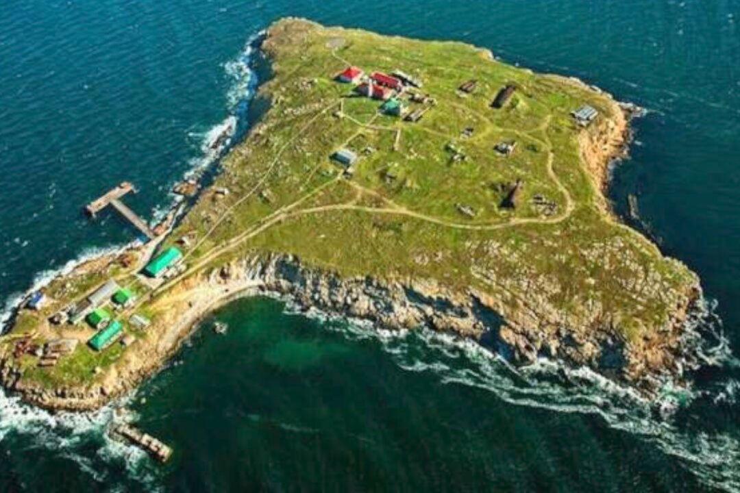 Ukrainian Border Guards Feared to Have Died While Defending Island Are Alive, Navy Says