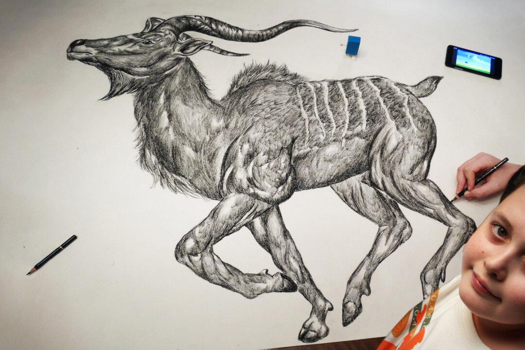 Artist Prodigy Starts Drawing Super-Realistic Animals From Memory at Age 2, Illustrates His Own Encyclopedia