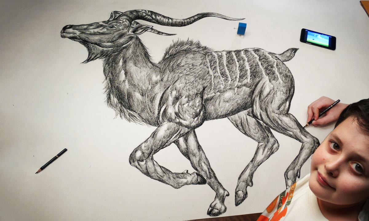 Artist Prodigy Starts Drawing Super-Realistic Animals From Memory at Age 2, Illustrates His Own Encyclopedia