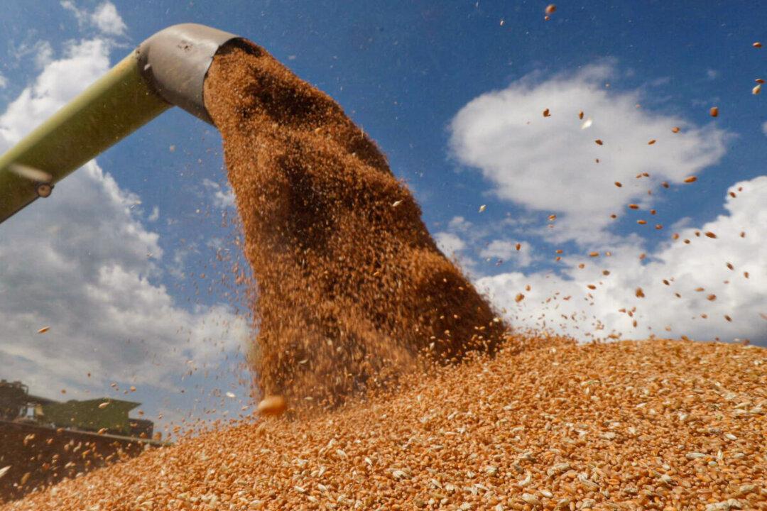 Global Fertilizer Supply Is At Risk Due To Dependence on Russia, Says Norwegian Fertilizer Producer