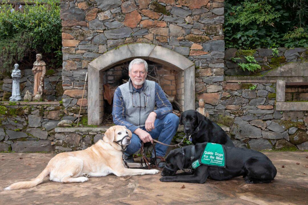 How a Loving Family Looking for a Puppy Wound Up Raising 13 Seeing-Eye Dogs