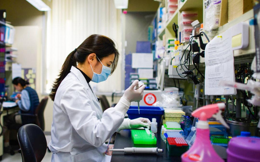 Researchers Create Synthetic Human Embryos Without Sperm or Eggs