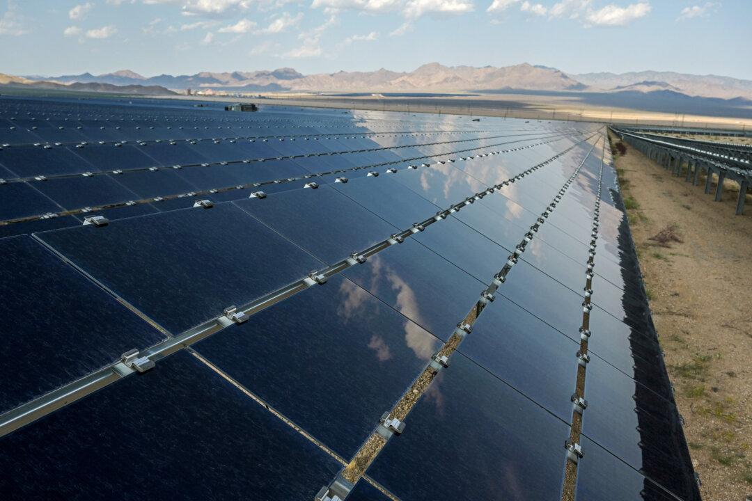 Large-Scale Solar Installations Can Threaten Natural Landscapes, Species, Habitats