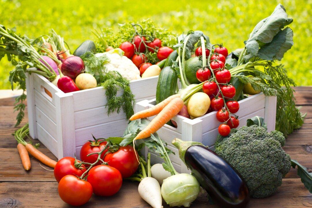 The Best Vegetable Seed Catalogs for Gardeners