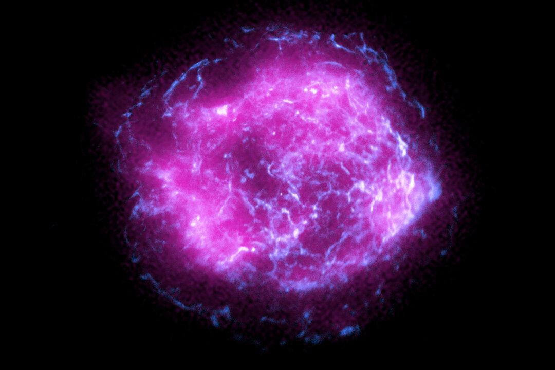 New NASA X-ray Telescope Orbiting Earth Reveals Glow of Star That Exploded in 17th Century