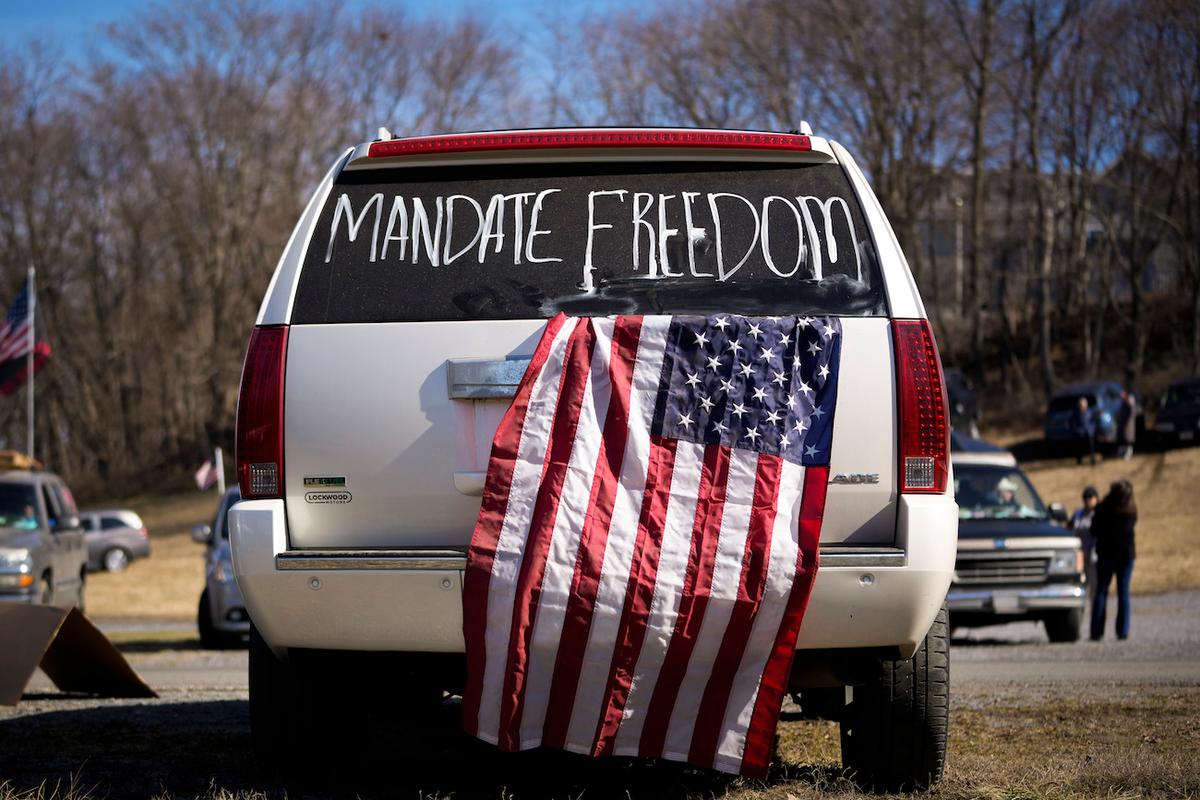 Gabrielle Bauer on Mob Psychology During the COVID-19 Pandemic — Part 1