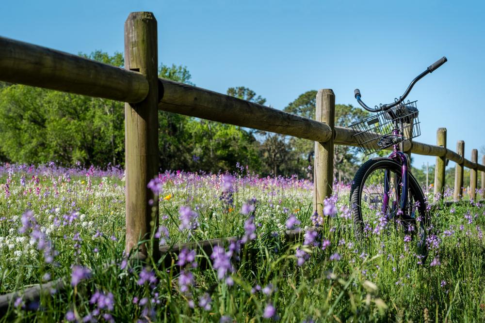 A Decorative, Functional Rail Fence Is Easy to Build