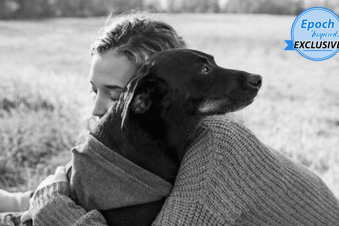 End-of-Life Photographer Captures Terminally Ill Pets’ Final Days With Owners for Free