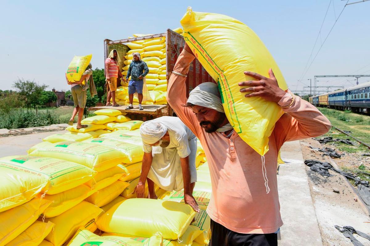 War-Induced Rise in Fertilizer Costs Expected to Drive Up Food Prices Worldwide