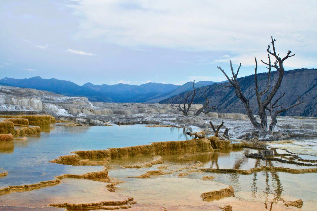 A Historian of the Wild West