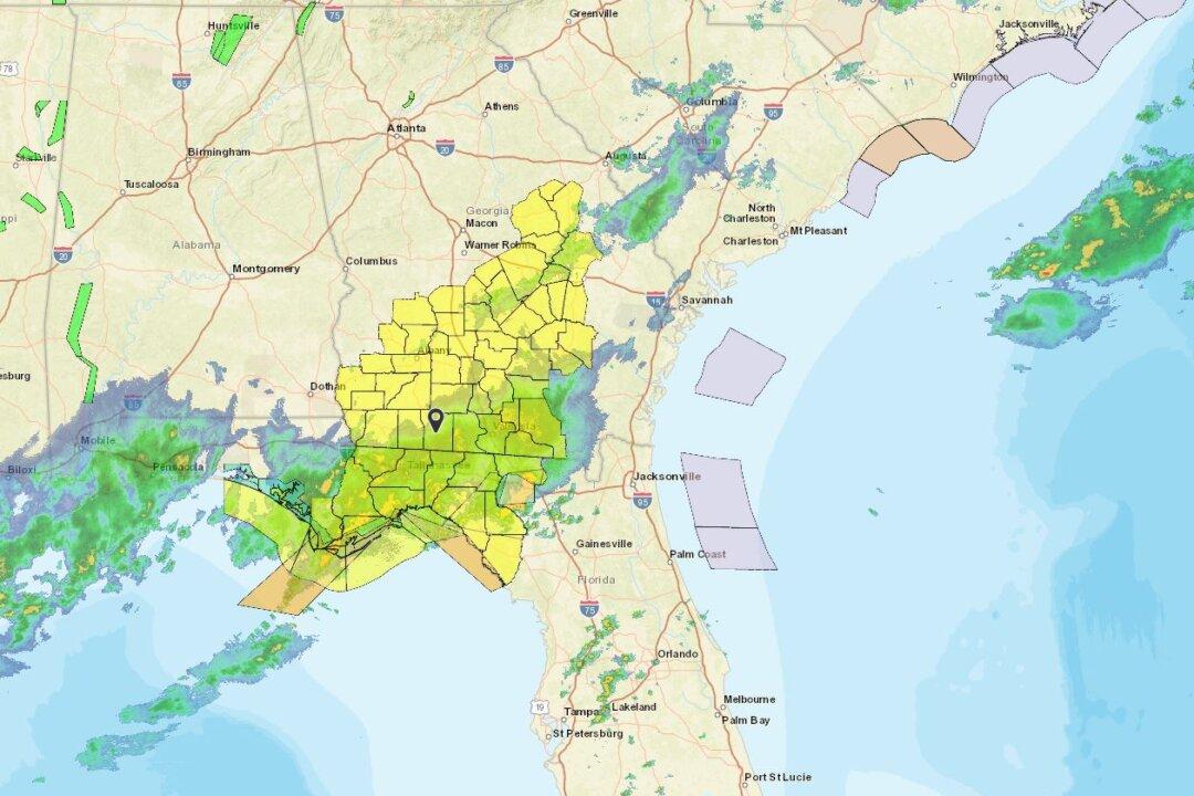 Strong Storms Splinter Trees, Cause Damage in Alabama